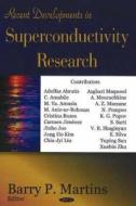 Recent Developments in Superconductivity Research edito da Nova Science Publishers Inc