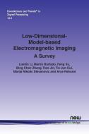 Low-Dimensional-Model-based Electromagnetic Imaging di Lianlin Li, Martin Hurtado, Feng Xu, Bing Chen Zhang, Tian Jin, Tie Jun Cui, Marija Nikolic Stevanovic, Arye Nehorai edito da now publishers Inc