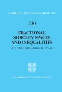 Fractional Sobolev Spaces and Inequalities di D. E. Edmunds, W. D. Evans edito da CAMBRIDGE