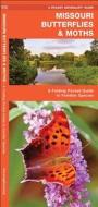 Missouri Butterflies & Moths: A Folding Pocket Guide to Familiar Species di James Kavanagh, Waterford Press edito da Waterford Press