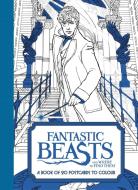 Fantastic Beasts and Where to Find Them: A Book of 20 Postcards to Colour di Warner Brothers Studio edito da HarperCollins Publishers