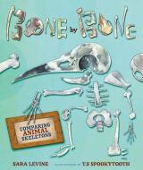 Bone by Bone: Comparing Animal Skeletons di Sara Levine edito da MILLBROOK PR INC