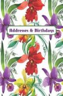 ADDRESSES & BIRTHDAYS di Andante Press edito da INDEPENDENTLY PUBLISHED