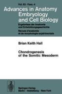 Chondrogenesis of the Somitic Mesoderm di B. K. Hall edito da Springer Berlin Heidelberg