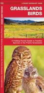 Grasslands Birds: A Folding Pocket Guide to Familiar Species Found in Prairie Grasslands di James Kavanagh, Waterford Press edito da Waterford Press