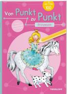 Von Punkt zu Punkt. Prinzessin di Corina Beurenmeister edito da Tessloff Verlag