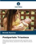 Postpartale Triasteza di Brenda Ramírez edito da Verlag Unser Wissen
