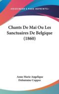 Chants de Mai Ou Les Sanctuaires de Belgique (1860) di Anne Marie Angelique Defontaine Coppee edito da Kessinger Publishing