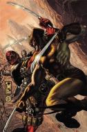 Wolverine Vs. Deadpool di Larry Hama edito da Marvel Comics