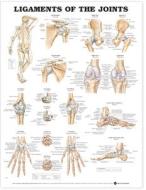 Ligaments Of The Joints Anatomical Chart edito da Anatomical Chart Co.