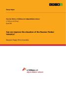 Can we improve the situation of the Russian Timber Industry? di Derya Heper edito da GRIN Verlag