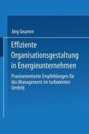 Effiziente Organisationsgestaltung in Energieunternehmen di Jörg Gnamm edito da Deutscher Universitätsverlag
