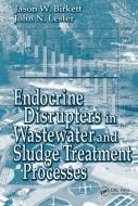 Endocrine Disrupters In Wastewater And Sludge Treatment Processes di Jason W. Birkett, John N. Lester edito da Taylor & Francis Ltd