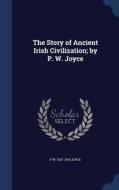 The Story Of Ancient Irish Civilization; By P. W. Joyce di P W 1827-1914 Joyce edito da Sagwan Press