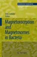 Magnetoreception and Magnetosomes in Bacteria edito da Springer Berlin Heidelberg