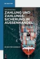 Zahlung und Zahlungssicherung im Außenhandel di Dietmar Ehrlich, Gregor Haas edito da Gruyter, Walter de GmbH