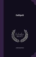 Gallipoli di John Masefield edito da Palala Press