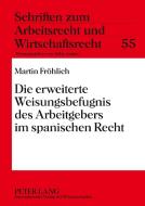 Die erweiterte Weisungsbefugnis des Arbeitgebers im spanischen Recht di Martin Fröhlich edito da Lang, Peter GmbH