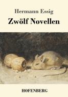 Zwölf Novellen di Hermann Essig edito da Hofenberg