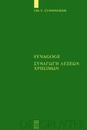 Synagoge: [Synagoge Lexeon Chresimon] Texts of the Original Version and of Ms. B edito da Walter de Gruyter