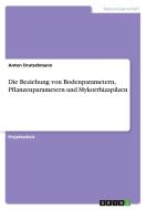 Die Beziehung von Bodenparametern, Pflanzenparametern und Mykorrhizapilzen di Anton Drutschmann edito da GRIN Verlag
