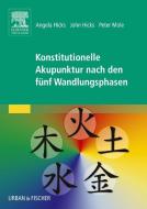 Konstitutionelle Akupunktur nach den fünf Wandlungsphasen di Angela Hicks, John Hicks, Peter Mole edito da Urban & Fischer/Elsevier