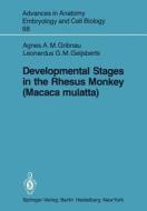 Developmental Stages in the Rhesus Monkey (Macaca mulatta) di L. G. M. Geijsberts, A. A. M. Gribnau edito da Springer Berlin Heidelberg