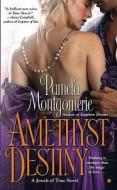 Amethyst Destiny di Pamela Montgomerie edito da Berkley Books