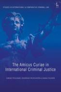 The Amicus Curiae in International Criminal Justice di Sarah Williams, Hannah Woolaver edito da HART PUB