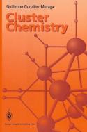 Cluster Chemistry di Guillermo Gonzalez-Moraga edito da Springer Berlin Heidelberg