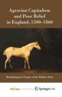 Agrarian Capitalism And Poor Relief In England, 1500-1860 di Patriquin Larry Patriquin edito da Springer Nature B.V.