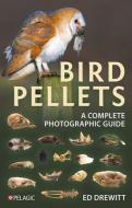 Bird Pellets di Ed Drewitt edito da Pelagic Publishing