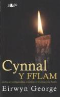 Cynnal Y Fflam - Golwg Ar Weithgareddau Annibynwyr Cymraeg Sir Benfro di Eirwyn George edito da Y Lolfa