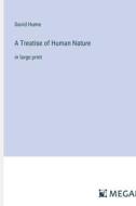 A Treatise of Human Nature di David Hume edito da Megali Verlag
