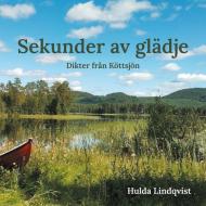 Sekunder av glädje di Hulda Lindqvist edito da Books on Demand