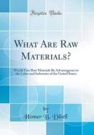What Are Raw Materials?: Would Free Raw Materials Be Advantageous to the Labor and Industries of the United States (Classic Reprint) di Homer B. Dibell edito da Forgotten Books