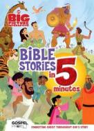 The Big Picture Interactive Bible Stories in 5 Minutes, Padded Cover: Connecting Christ Throughout God S Story edito da B&H Publishing Group