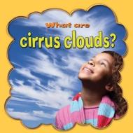 What Are Cirrus Clouds? di Lynn Peppas edito da CRABTREE PUB