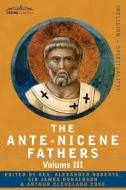 The Ante-Nicene Fathers: The Writings of the Fathers Down to A.D. 325 Volume III Latin Christianity: Its Founder, Tertul edito da COSIMO CLASSICS