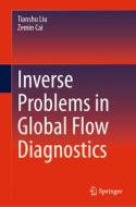 Inverse Problems in Global Flow Diagnostics di Zemin Cai, Tianshu Liu edito da Springer Nature Switzerland