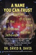 A Name You Can Trust di David B Davis edito da TotalRecall Publications