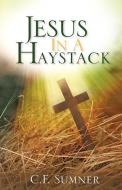 Jesus in a Haystack di C. F. Sumner edito da XULON PR
