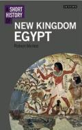 A Short History of New Kingdom Egypt di Robert Morkot edito da I.B.Tauris & Co. Ltd.