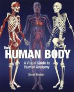 The Human Body: A Visual Guide to Human Anatomy di Sarah Brewer edito da QUERCUS BOOKS