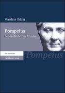 Pompeius di Matthias Gelzer edito da Steiner Franz Verlag