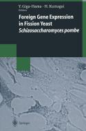 Foreign Gene Expression in Fission Yeast: Schizosaccharomyces pombe edito da Springer Berlin Heidelberg