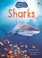 Sharks di Catriona Clarke edito da Usborne Publishing Ltd
