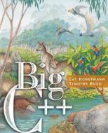 Big C++ di Cay S. Horstmann edito da John Wiley And Sons Ltd