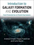 Introduction to Galaxy Formation and Evolution: From Primordial Gas to Present-Day Galaxies di Andrea Cimatti, Filippo Fraternali, Carlo Nipoti edito da CAMBRIDGE