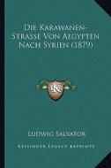 Die Karawanen-Strasse Von Aegypten Nach Syrien (1879) di Ludwig Salvator edito da Kessinger Publishing
